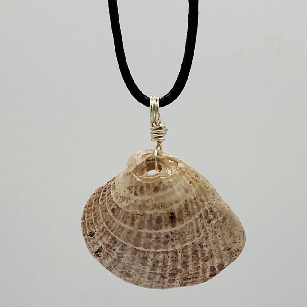 Shell Pendant on 20" Black Cord Necklace; B20-12
